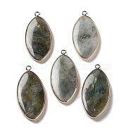 Natural Labradorite Pendants, Light Gold Plated Brass Horse Eye Charms, 44.5~45x20.5~21x4mm, Hole: 2mm(G-G063-03D)