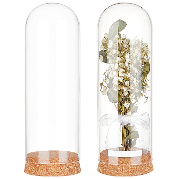 Glass Dome Cover, Decorative Display Case, Cloche Bell Jar Terrarium with Cork Base, Clear, 65.5x197mm, Inner Diameter: 60.5mm