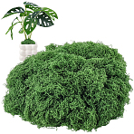 Polyester Artificial Moss, Micro Scene Garden Decoration, Photography Props Accessories, Dark Green, 1mm, 100g/set(DIY-CN0003-92C)