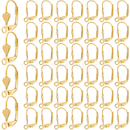 200Pcs Brass Leverback Earring Findings, Ear Wire with Loops, Golden, 18x10mm, Hole: 2mm(KK-SP0001-04G)