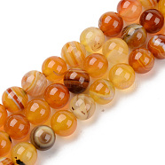 Natural Sardonyx Beads Strands, Dyed & Heated, Round, Gold, 10mm, Hole: 1mm, about 38pcs/strand, 14.96 inch(38cm)(G-S369-002D-B02)