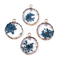 Transparent Clear Epoxy Resin & Dried Flower Pendants, with Edge Light Gold Plated Iron Loops, Flat Round, Steel Blue, 25~26x20~21x4.5mm, Hole: 1.8mm(RESI-S383-075-C01)