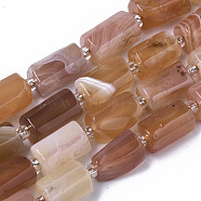 Natural Botswana Agate Beads Strands, with Seed Beads, Faceted Column, 10~11x5~8mm, Hole: 1mm, about 15~17pcs/Strand, 7.48 inch~7.87 inch(19~20cm)(G-N327-04-02-1)