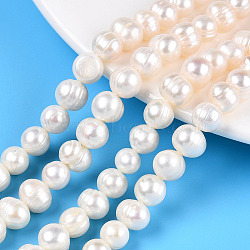 Natural Cultured Freshwater Pearl Beads Strands, Potato, Creamy White, 7.5~10x6.5~8.5mm, Hole: 0.7mm, about 45~46pcs/strand, 13.78~13.98 inch(35~35.5cm)(X-PEAR-N013-07N)