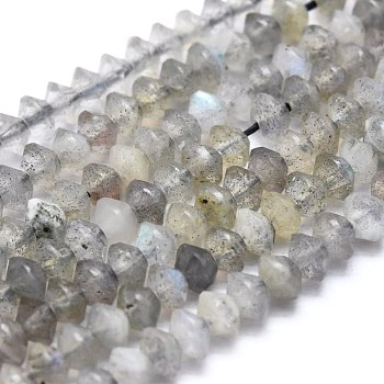 Natural Labradorite Beads Strands, Faceted, Bicone, 3.5~4x2~3mm, Hole: 0.6mm, about 171pcs/strand, 15.55 inch(39.5cm)