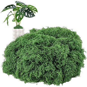 Polyester Artificial Moss, Micro Scene Garden Decoration, Photography Props Accessories, Dark Green, 1mm, 100g/set