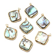 Natural Abalone Shell/Paua Shell Pendants, Copper Wire Wrapped Rhombus Charms, Real 14K Gold Plated, 19.5~20x17x3.5mm, Hole: 1.5mm(KK-H445-02G)