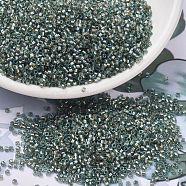 MIYUKI Delica Beads, Cylinder, Japanese Seed Beads, 11/0, (DB2379) Inside Dyed Eucalyptus, 1.3x1.6mm, Hole: 0.8mm, about 2000pcs/10g(X-SEED-J020-DB2379)