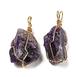 Raw Rough Natural Amethyst Iron Wire Wrapped Pendants, Nuggets Charms, Golden, 30.5~46x19~28.5x19~25.5mm, Hole: 4~7mm(G-H308-03G-03)