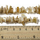 Natural Yellow Shell Beads Strands(SSHEL-H072-05)-4