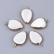 Edge Plated Freshwater Shell Pendants, for DIY Jewelry Making, with Golden Plated Brass Loops and Half Drilled, Teardrop, Seashell Color, 20~23x13~14x4~6mm, Hole: 0.9~1.8mm(SHEL-S276-37)