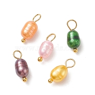 Dyed Natural Cultured Freshwater Pearl Rice Charms, with Brass Ball Head Pins, Mixed Color, Golden, 13x5mm, Hole: 3.2mm(PALLOY-JF01948-01)