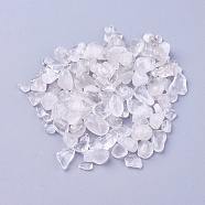 Natural Quartz Crystal Beads, Undrilled/No Hole, Chips, 4~15x3~6x1~5mm, about 100g/bag(G-I221-20)