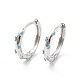 Cubic Zirconia Hoop Earrings(EJEW-P213-20P)-2