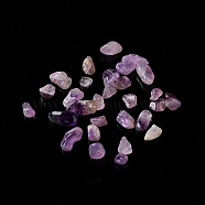 Natural Amethyst Chip Beads, No Hole/Undrilled, 5~10.5x5~7x2~4mm(G-M364-12B)
