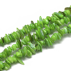Freshwater Shell Beads Strands, Dyed, Chip, Lime, 8~28x6~8x1~4.5mm, Hole: 1mm, about 340~380pcs/strand, 29.9 inch(SHEL-S272-09)
