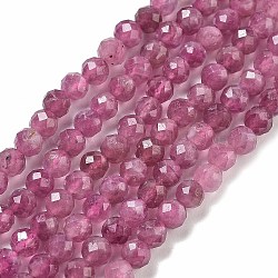 Natural Red Tourmaline Beads Strands, Faceted, Round, 4.5mm, Hole: 0.7mm, about 90pcs/strand, 15.35''(39cm)(G-B109-A01-01)