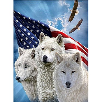 5D DIY Diamond Painting Animals Canvas Kits, with Resin Rhinestones, Diamond Sticky Pen, Tray Plate and Glue Clay, Wolf Pattern, 30x20x0.02cm