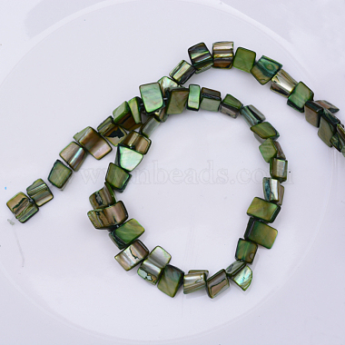 Natural Shell Beads Strands(PBB050Y)-2