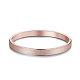 Simple Elegant Stainless Steel Bangle(JB264A)-1
