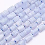 Natural Blue Lace Agate Beads Strands, Grade A, Column, 8~12x7~9x4~8mm, Hole: 1.5mm, about 35pcs/strand, 16.5 inch(42cm)(G-F509-63)
