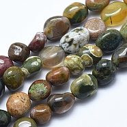 Natural Ocean Jasper Beads Strands, Nuggets, Tumbled Stone, 6~8mm, Hole: 0.8mm, about 45~47pcs/strand, 15.7 inch(40cm)(G-E483-39A)