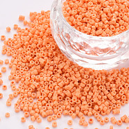 Glass Cylinder Beads, Seed Beads, Baking Paint, Round Hole, Light Salmon, 1.5~2x1~2mm, Hole: 0.8mm, about 45000pcs/bag, about 1pound/bag(SEED-S047-A-029)