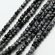 Natural Snowflake Obsidian Bead Strands, Faceted Round, 3mm, Hole: 0.8mm, about 136pcs/strand, 16 inch(X-G-A129-3mm-12)