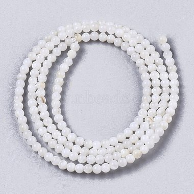 Natural Freshwater Shell Beads Strands(BSHE-T009-01F)-2