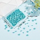 300Pcs 3 Style 2-Hole Baking Painted Glass Seed Beads(SEED-CN0001-06)-7
