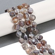 Natural Botswana Agate Beads Strands, Faceted Pentagonal Cut, Flat Round, with Seed Beads, 10~10.5x5~6mm, Hole: 1mm, about 32~33pcs/strand, 15.75''(40cm)(G-C116-A65-01)