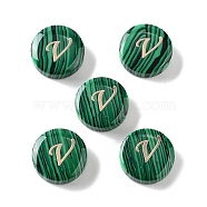 Synthetic Malachite Beads, with Golden Tone Brass Slices, Flat Round with Letter, Letter V, 15x5mm, Hole: 1.4mm(G-A238-01V)