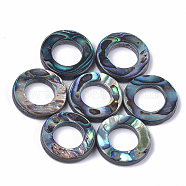 Abalone Shell/Paua Shell Bead Frames, Ring, 18x3mm, Hole: 1mm, Inner Diameter: 10mm(SSHEL-T008-17)
