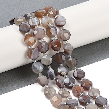 Natural Botswana Agate Beads Strands, Faceted Pentagonal Cut, Flat Round, with Seed Beads, 10~10.5x5~6mm, Hole: 1mm, about 32~33pcs/strand, 15.75''(40cm)