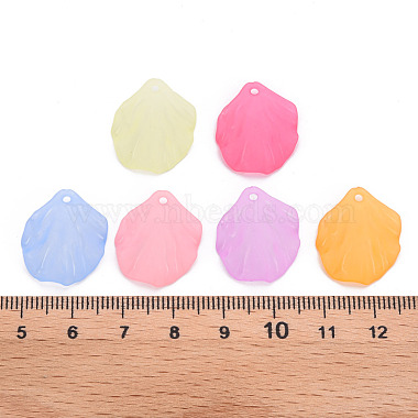 Transparent Frosted Acrylic Pendants(MACR-S371-01A)-4