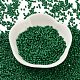 Baking Paint Glass Seed Beads(X-SEED-S042-05B-66)-2