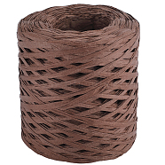 Raffia Paper Cords, for DIY Jewelry Making, Camel, 2~3.5mm, about 218.72 Yards(200m)/Roll(OCOR-WH20015-05C)