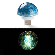 Resin & Epoxy Resin Decor Plate Night Light, with USB Table Lamp Desk Bedroom Decor, Mushroom, Royal Blue, 42x40mm(DJEW-K030-01A)