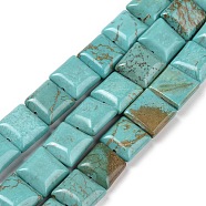 Natural Magnesite Beads Strands, Dyed, Flat Slice Square Beads, Medium Turquoise, 9.5~10x9.5~10mm, Hole: 1mm, about 15pcs/strand, 5.9 inch(TURQ-K003-06A)