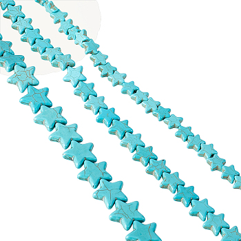 3 Strands 3 Styles Synthetic Turquoise Beads Strands, Star, Turquoise, 11~18.5x12~20x4~5mm, Hole: 1~1.5mm, 1 strand/style
