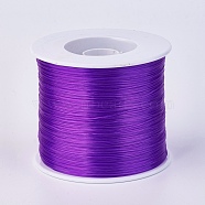 Flat Elastic Crystal String, Elastic Beading Thread, for Stretch Bracelet Making, Dark Violet, 0.7mm, about 546.8 yards(500m)/roll(EW-F006-12)