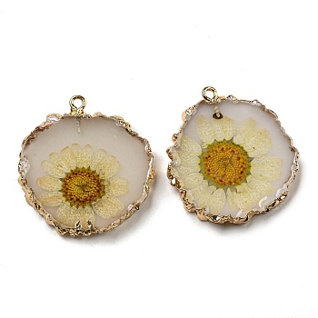 Inner Dried Flower Resin Pendants, Flat Round Charms with Light Gold Plated Brass Edge and Iron Loops, Light Yellow, 34~36x30~31.5x4.5~5.5mm, Hole: 2mm