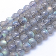 Natural Labradorite Beads Strands, Grade A++, Round, 5mm, Hole: 1mm, about 75pcs/strand, 15.5 inch(39.5cm)(G-P342-09A-5mm-A++)