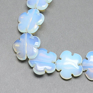Opalite Bead Strands, Flower, 15.5~16x16x6mm, Hole: 1mm, about 25pcs/strand, 15.1 inch(G-T003-16mm-17)