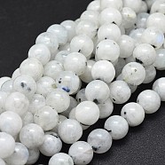 Natural Rainbow Moonstone Beads Strands, Round, 8mm, Hole: 1mm, about 48pcs/strand, 15.5 inch(39.5cm)(G-I249-B04-02)