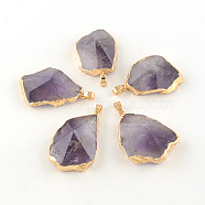 Mixed Shape Faceted Golden Plated Natural Amethyst Pendants with Iron Clasps, 43~50x28~36x11~16mm, Hole: 6x4mm(G-R275-281)