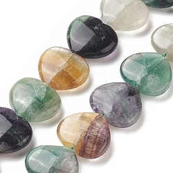 Natural Fluorite Beads Strands, Heart, 24~26x28~28.5x9~12mm, Hole: 1.5mm, about 15pcs/strand, 15.04~15.55 inch(38.2~39.5cm)(G-G996-B10)