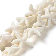 Synthetic Turquoise Dyed Beads Strands, Starfish, Floral White, 13.4~15x13.5~14.8x5.2~5.5mm, Hole: 0.6mm, about 32pcs/strand, 14.21''(36.1cm)(G-A218-03)