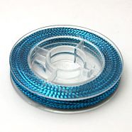 Braided Non-Elastic Beading Thread, Metallic Thread, Embroidery Thread, Dodger Blue, 0.6mm, about 10.93 yards(10m)/roll(EW-N001-03)