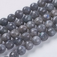 Natural Labradorite Beads Strands, Faceted, Round, Gray, 8mm, Hole: 1mm, about 50pcs/strand, 15.5 inch(G-G213-8mm-03)
